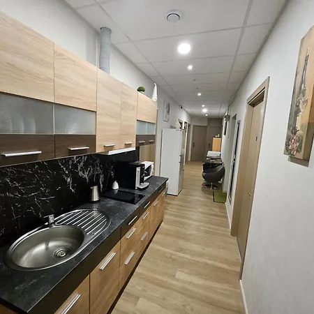 Kauno Apartamentai Big King Size Bed Apartment *