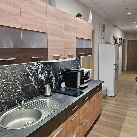 Διαμέρισμα Kauno Apartamentai Big King Size Bed