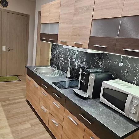 Kauno Apartamentai Big King Size Bed Apartment