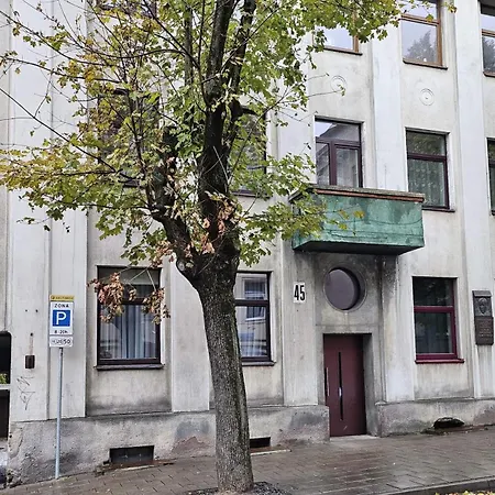 Kauno Apartamentai Big King Size Bed * Kaunas