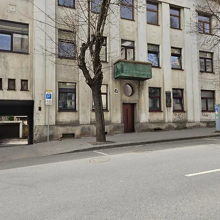 Kauno Apartamentai Big King Size Bed *