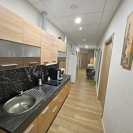Kauno Apartamentai Big King Size Bed Apartament Kowno