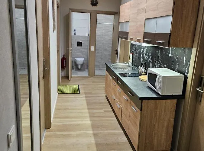 Kauno Apartamentai Big King Size Bed