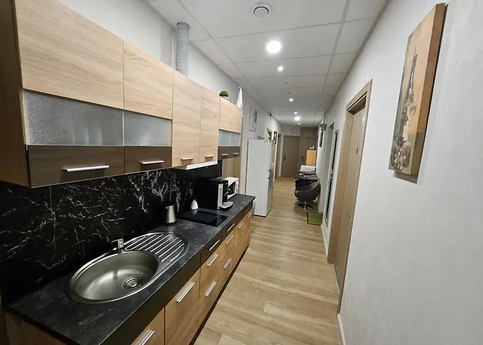 Kauno Apartamentai Big King Size Bed Daire *