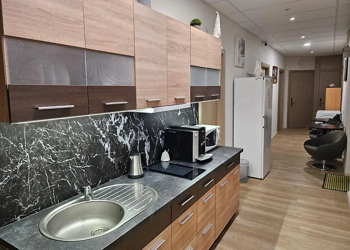 Daire Kauno Apartamentai Big King Size Bed